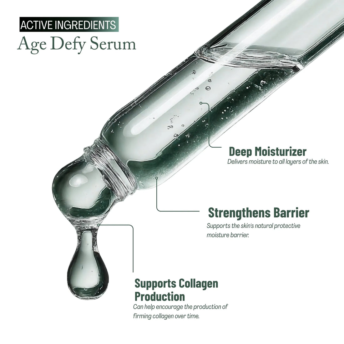 WhiteWay Beauty Age Defy Serum active ingredients infographic: Deeply moisturizes all skin layers, strengthens the natural protective moisture barrier, and supports firming collagen production for youthful skin.